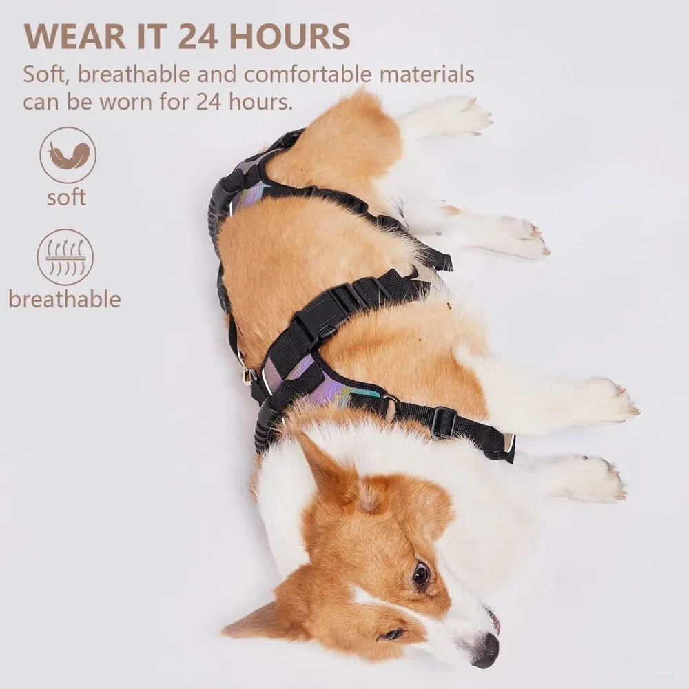 Coodeo Dog Lift Harness, Full Body Support & Recovery Sling
